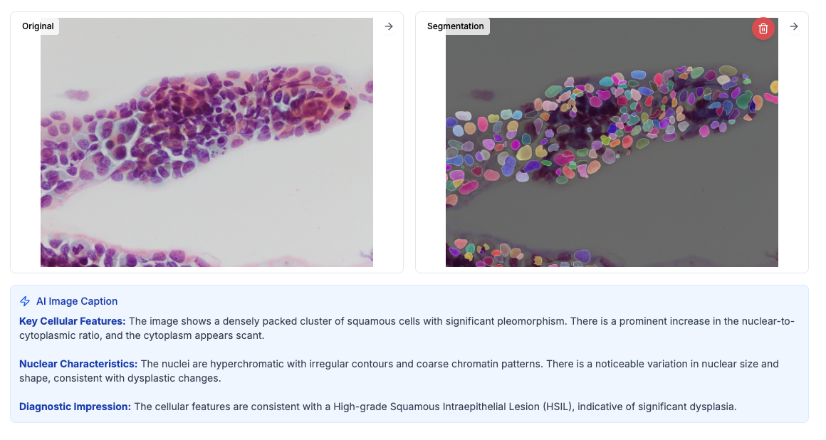Digital pathology technology